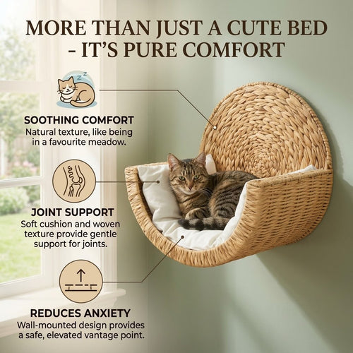 Cat Bed